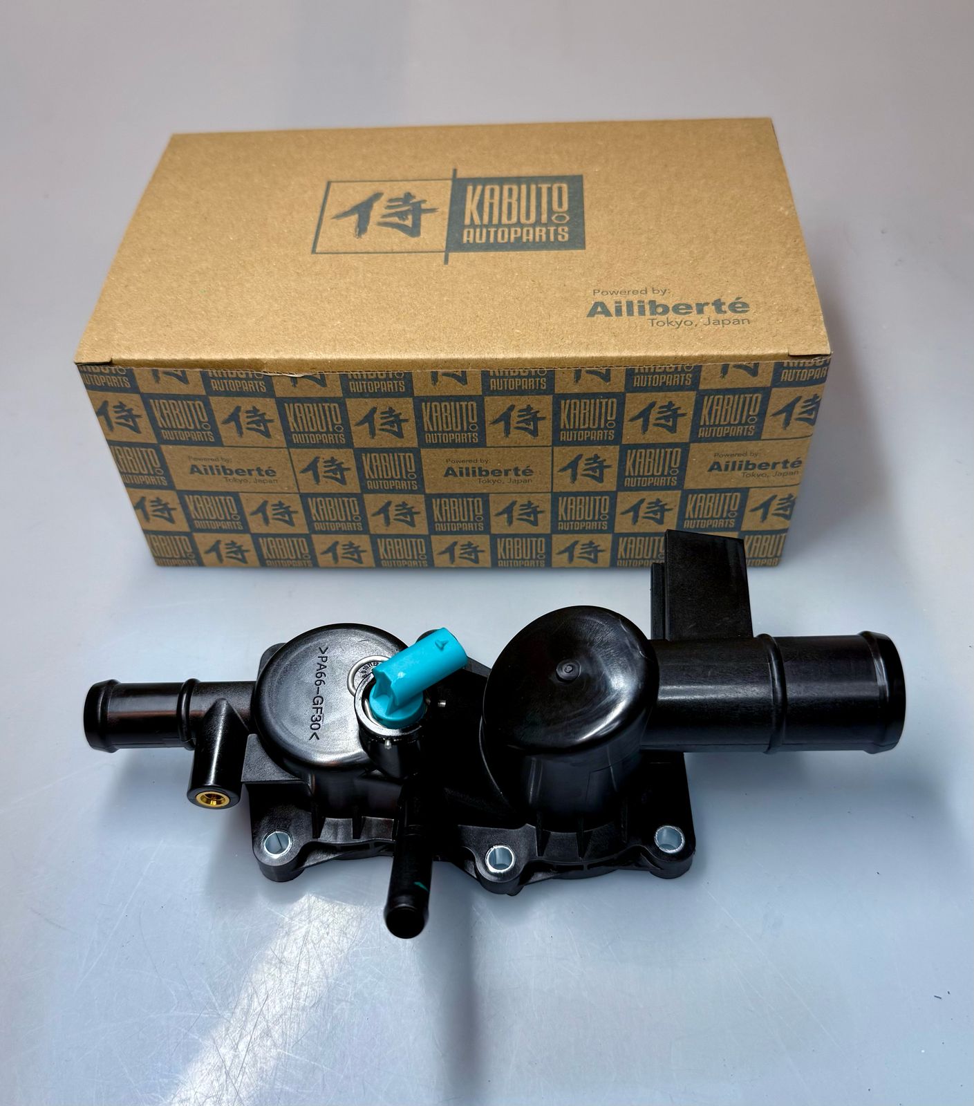 TOMA AGUA COMPLETA RENAULT KWID 1.0 2019-2023 CON JUNTA Y TERMOSTATO